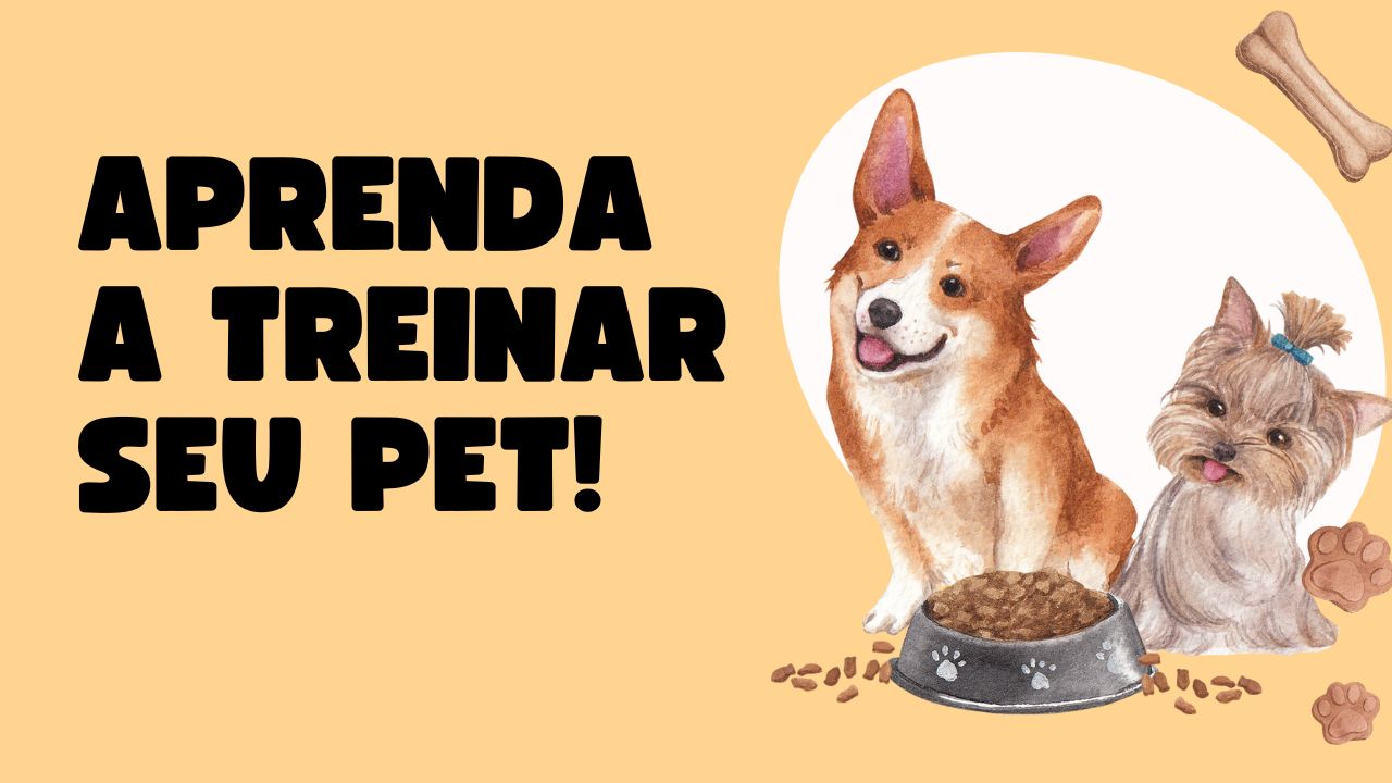 TREINAR SEU PET