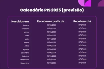 Consulta PIS 2025
